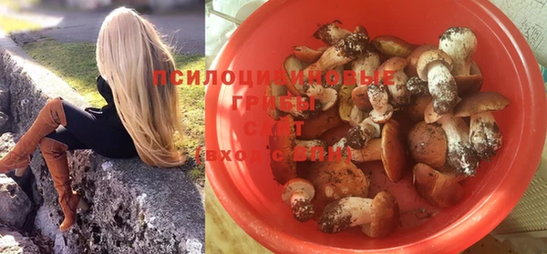 дурь Арсеньев