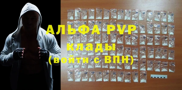 стаф Аркадак