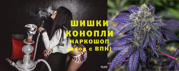 дурь Арсеньев