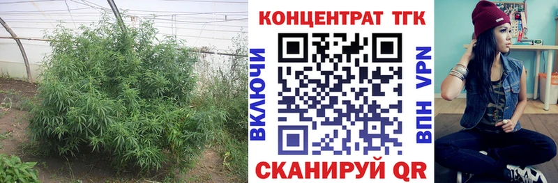 ТГК вейп Спасск