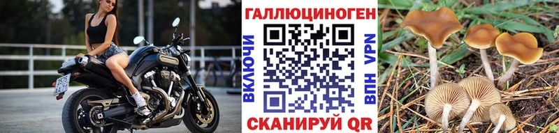 где можно купить наркотик  Спасск  Галлюциногенные грибы GOLDEN TEACHER 
